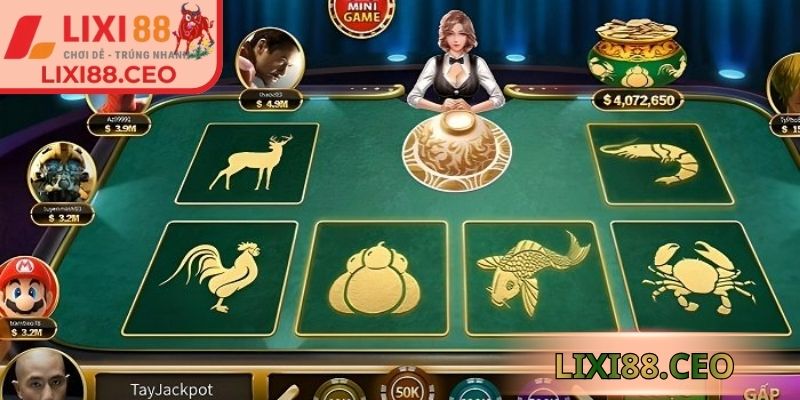 Quy trình live mượt mà, thao tác thuận tiện, quan sát hiệu quả