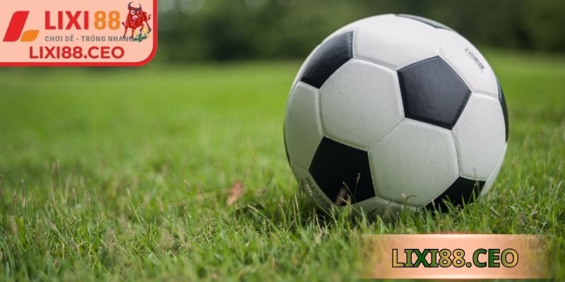 Định nghĩa kèo 1/2 Lixi88
