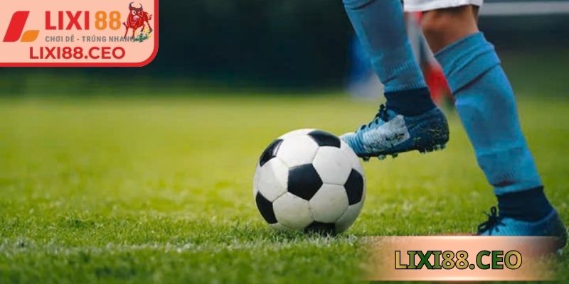 Hiểu rõ xu hướng biến động và nâng cao hiệu quả lựa chọn
